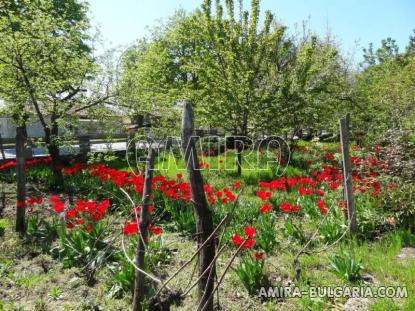 Sea view villa in Bulgaria 500 m from the beach garden 2