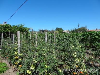 Massive Bulgarian home 35km from the beach 6