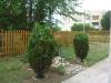 Bulgarian house 40 km from the beach garden