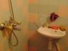 Furnished house 6 km from Dobrich bathroom