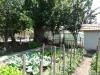 Holiday home in Bulgaria garden 3