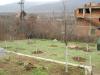 Summer house near Albena Bulgaria garden