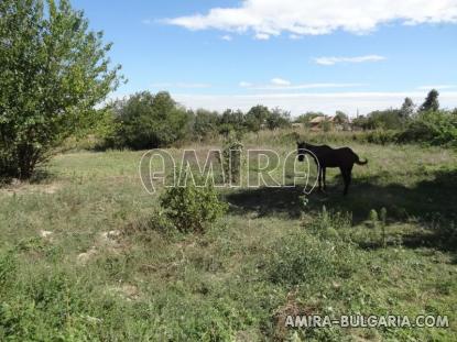 Renovated bulgarian house near Dobrich 4