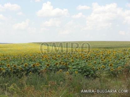 House for sale near Dobrich view 1