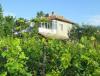 House in a big Bulgarian village 6